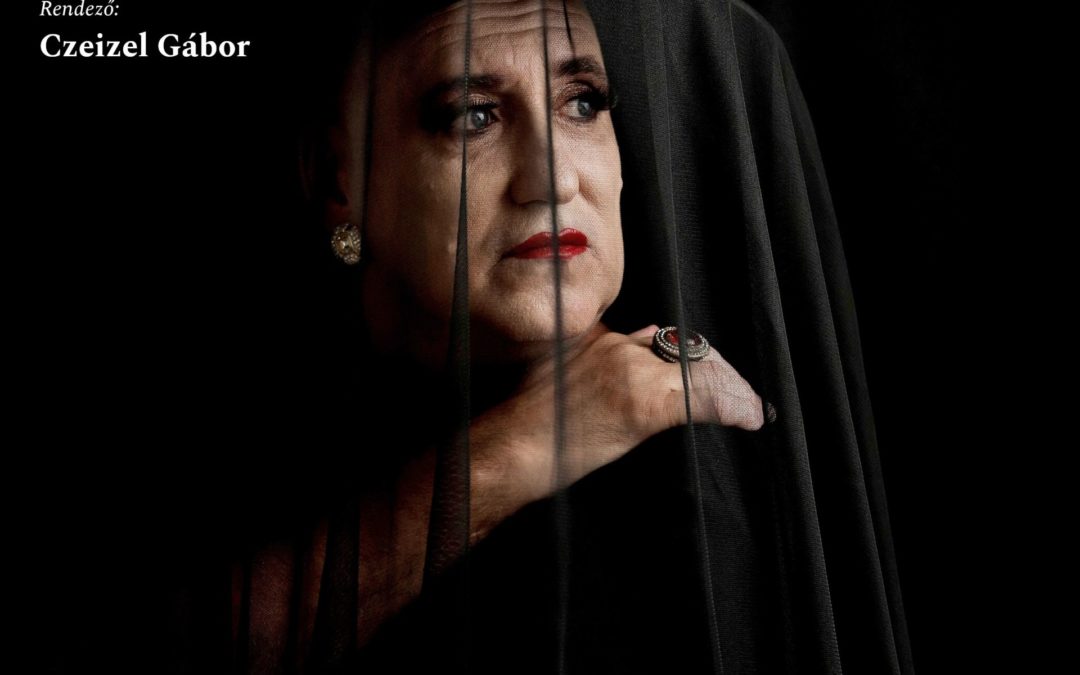 Az öreg hölgy látogatása